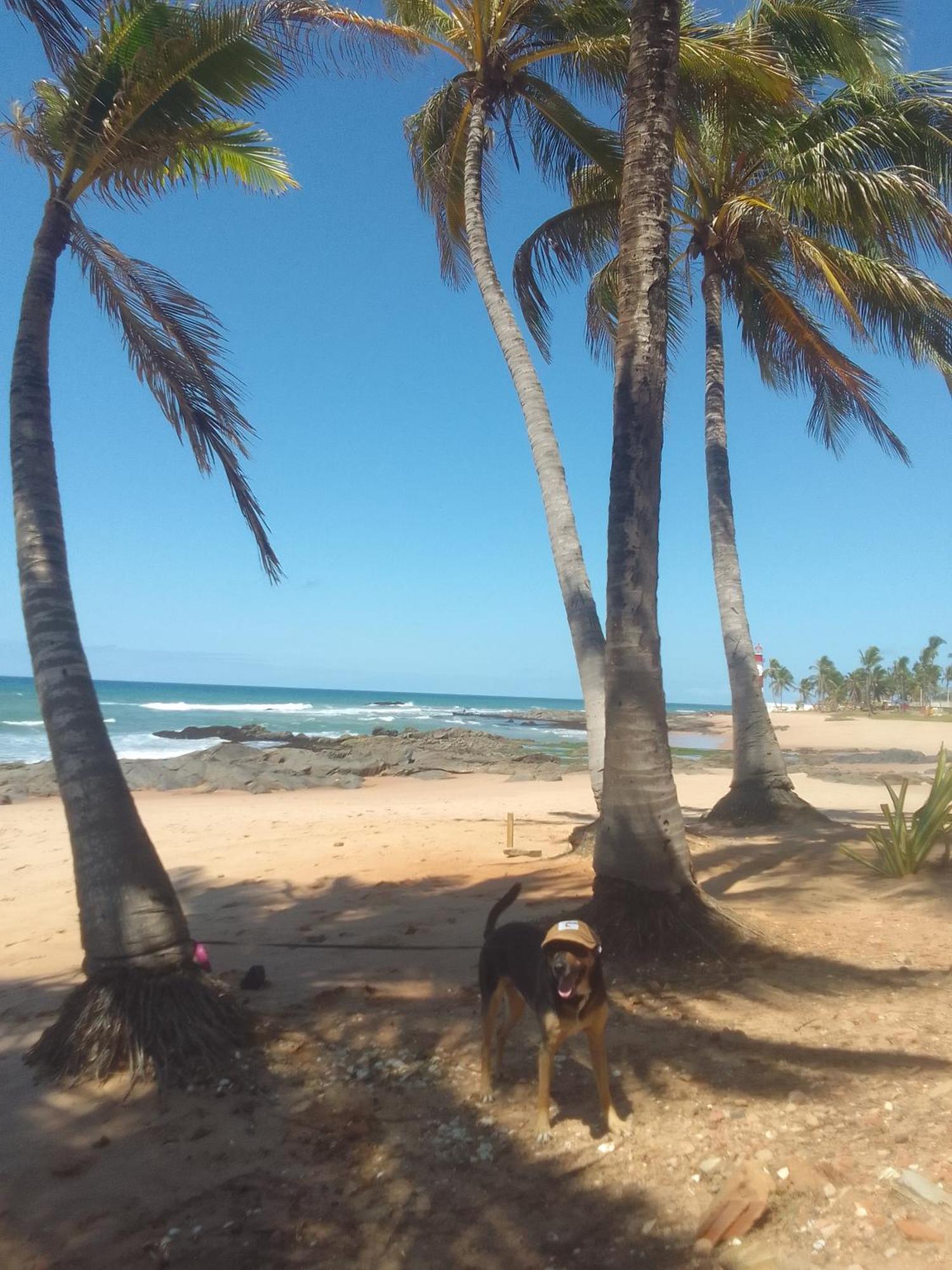 Sol E Mar Apartamento
