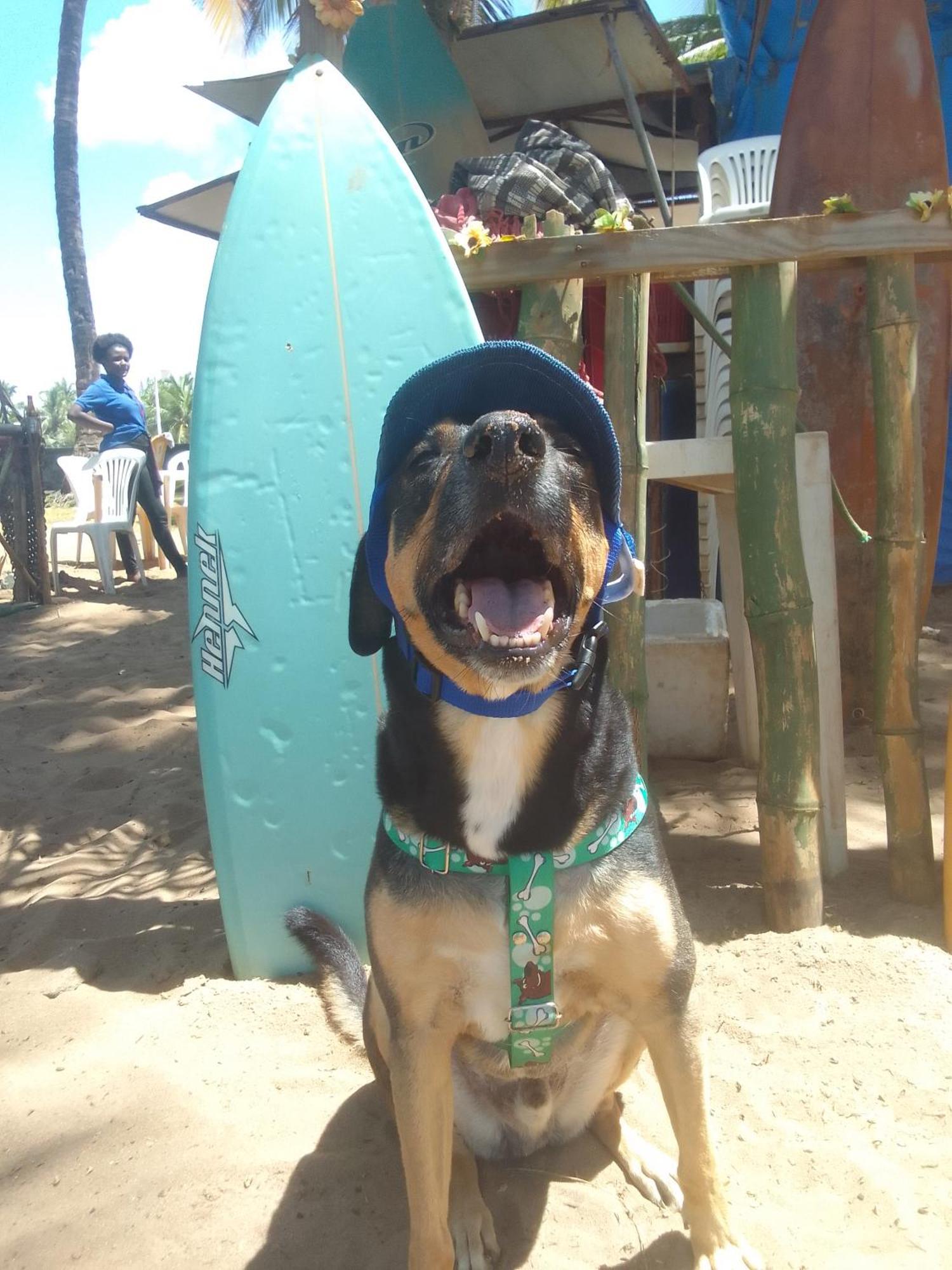Apartamento Sol E Mar *