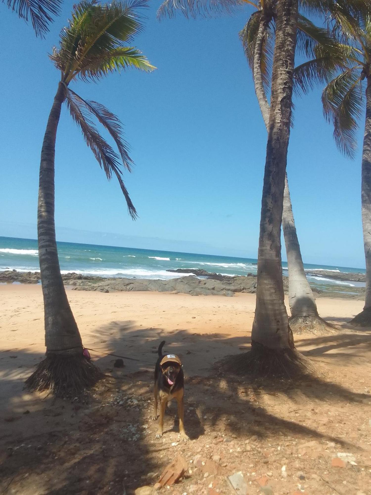 Apartamento Sol E Mar Salvador de Bahía