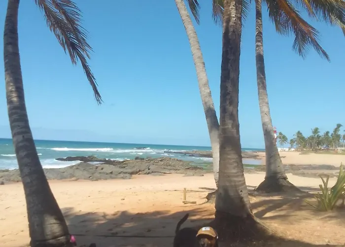 Sol E Mar